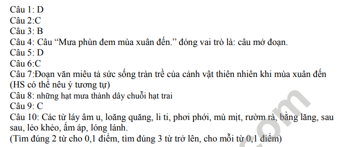 De cuoi ki 1 lop 5 mon Tieng Viet 2022 - TH Trieu An (Co dap an)