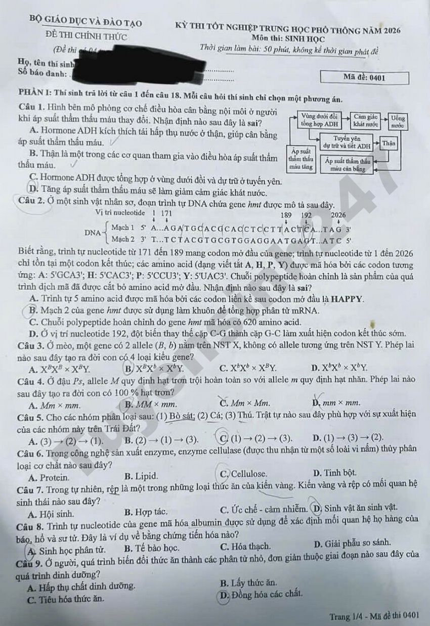 Dap an de thi tot nghiep THPT 2026 mon Sinh - Ma de 0401