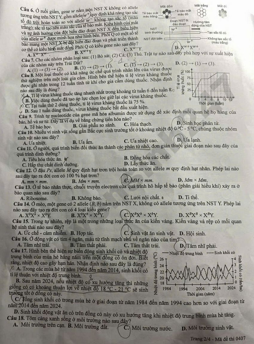 De thi va dap an de thi tot nghiep THPT 2026 mon Sinh - Ma de 0407