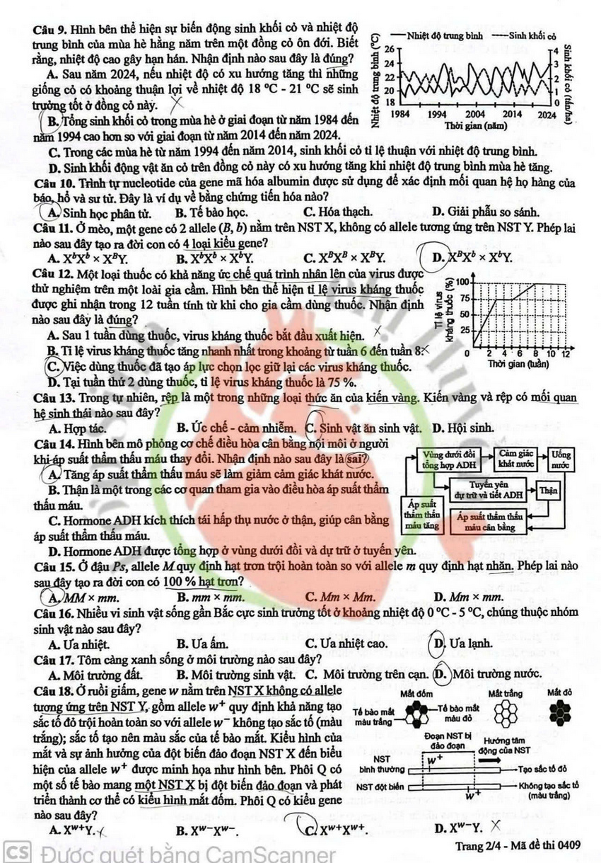 Dap an de thi mon Sinh - Ma de 0409 tot nghiep THPT 2026 