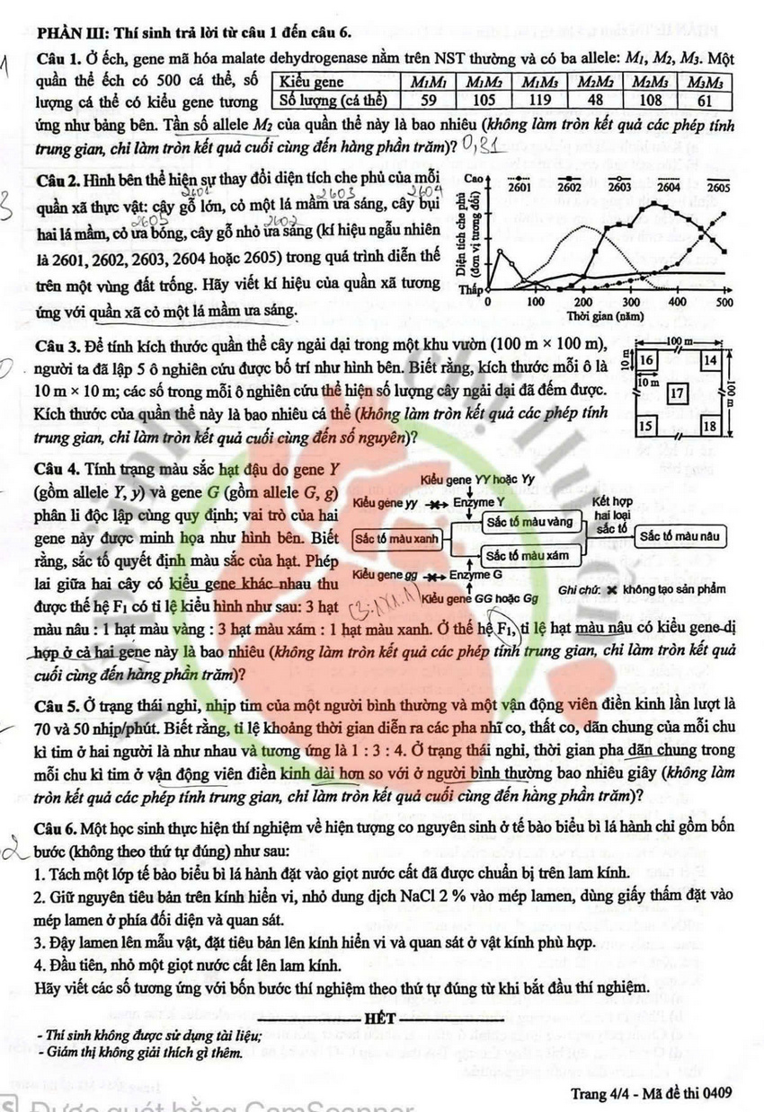 Dap an de thi mon Sinh - Ma de 0409 tot nghiep THPT 2026 
