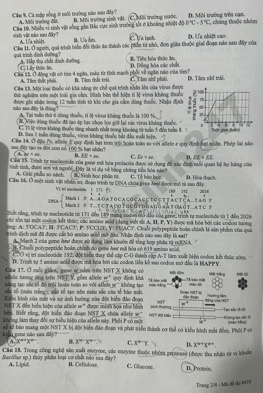 Giai chi tiet va Dap an de thi tot nghiep THPT 2026 mon Sinh - Ma de 0410