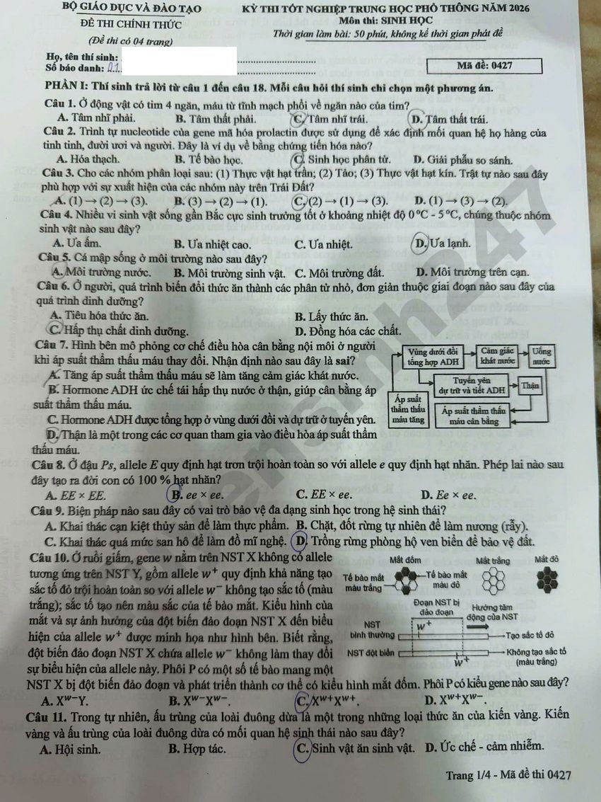 Dap an de thi THPT 2026 mon Sinh ma de 0427 day du nhat