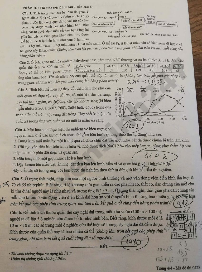 Doi chieu dap an de thi tot nghiep THPT 2026 mon Sinh - Ma de 0428