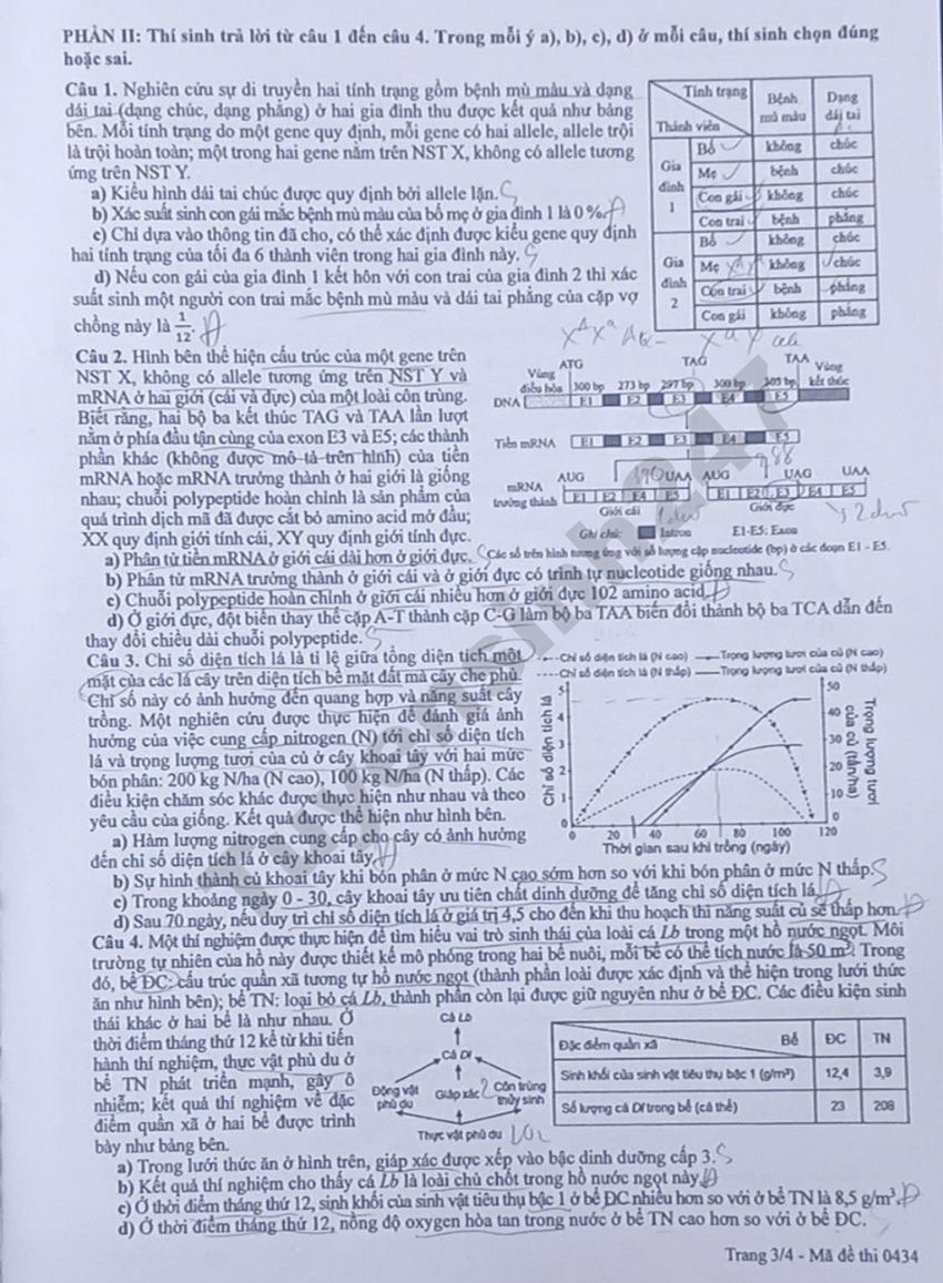 Dap an de thi tot nghiep THPT 2026 mon Sinh - Ma de 0434