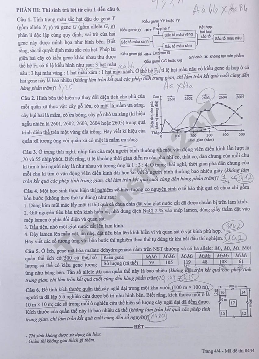 Dap an de thi tot nghiep THPT 2026 mon Sinh - Ma de 0434