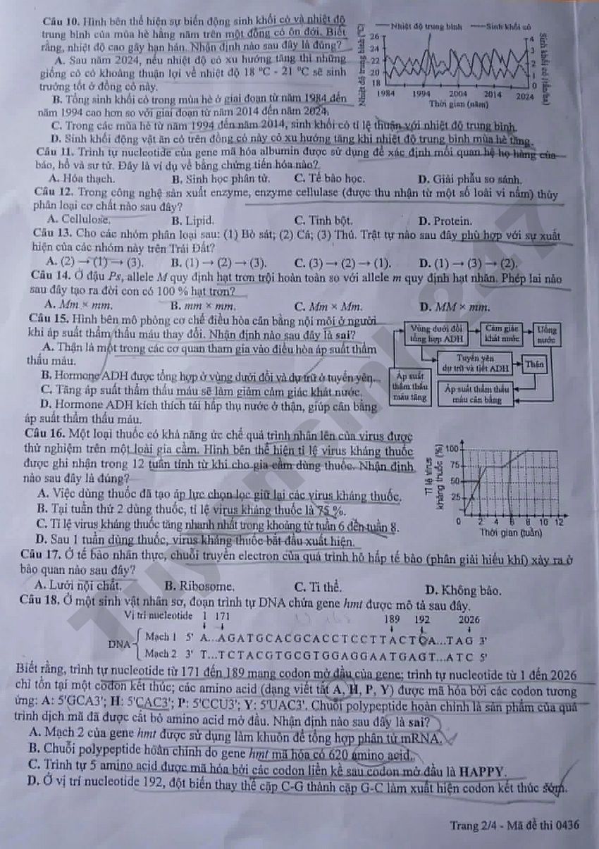 Xem dap an de thi tot nghiep THPT 2026 mon Sinh - Ma de 0436