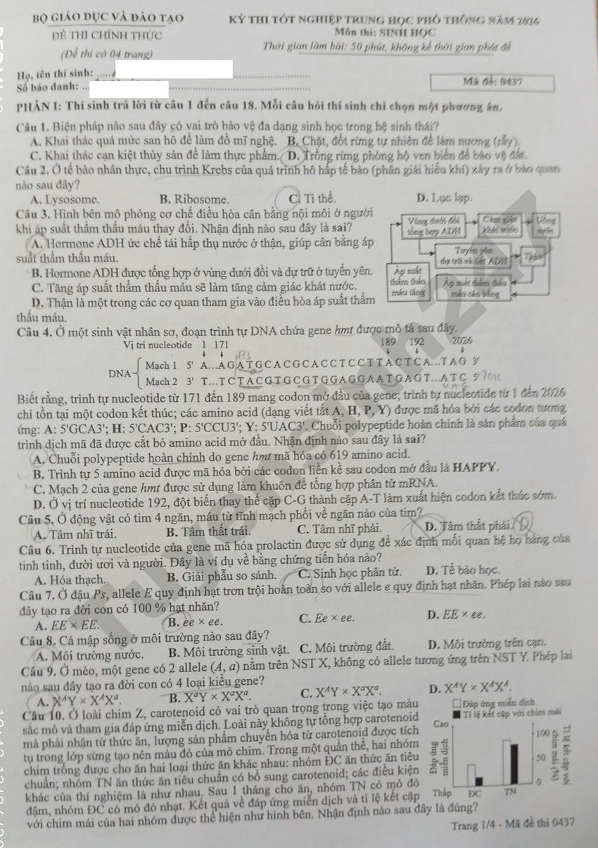 Dap an de thi mon Sinh - Ma de 0437 tot nghiep THPT 2026