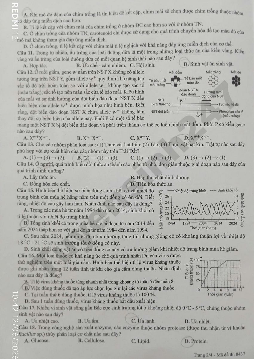 Dap an de thi mon Sinh - Ma de 0437 tot nghiep THPT 2026