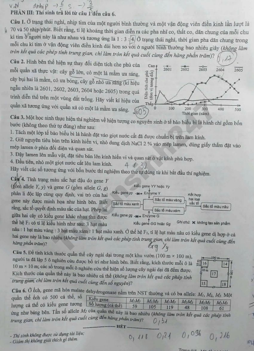 Tron bo dap an de thi tot nghiep THPT 2026 mon Sinh - Ma de 0441