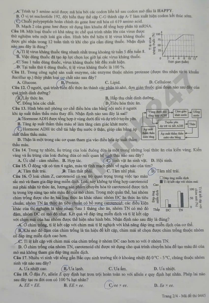 De thi va dap an mon Sinh tot nghiep THPT 2026 - Ma de 0445