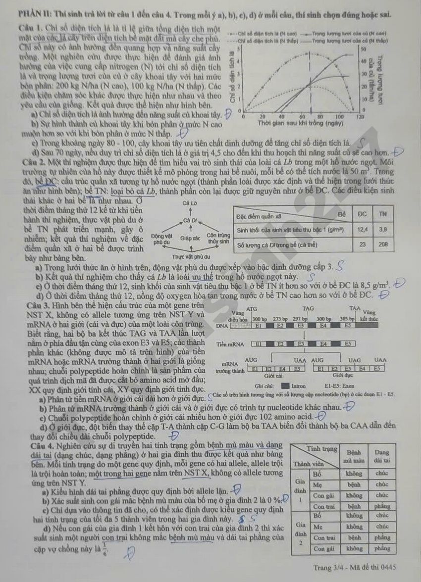 De thi va dap an mon Sinh tot nghiep THPT 2026 - Ma de 0445