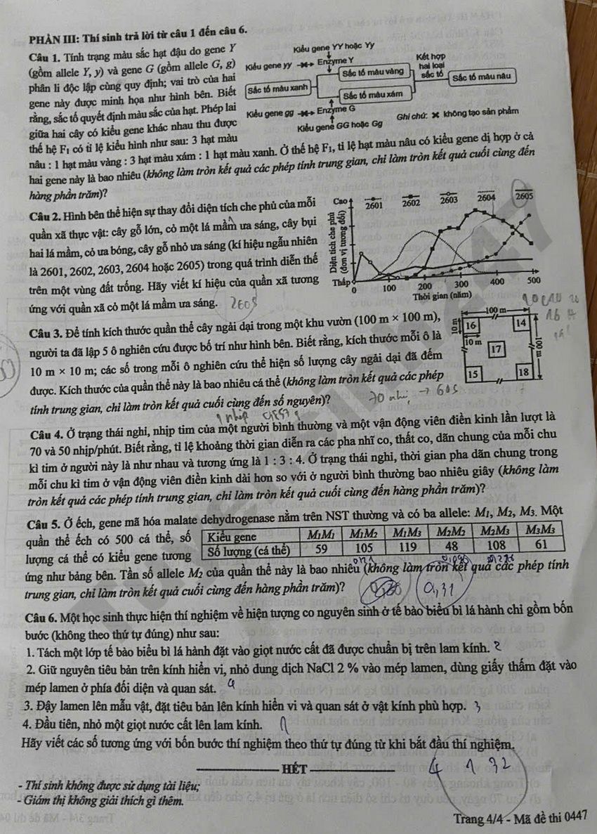 Cap nhat dap an de thi tot nghiep THPT 2026 mon Sinh - Ma de 0447