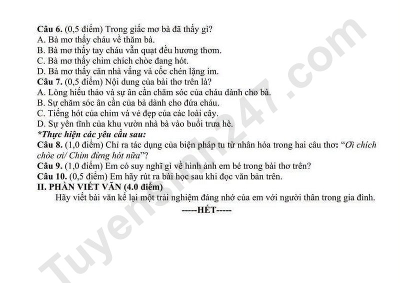 De kiem tra giua ki mon Van 6 - Truong THCS Nguyen Du (Co dap an)